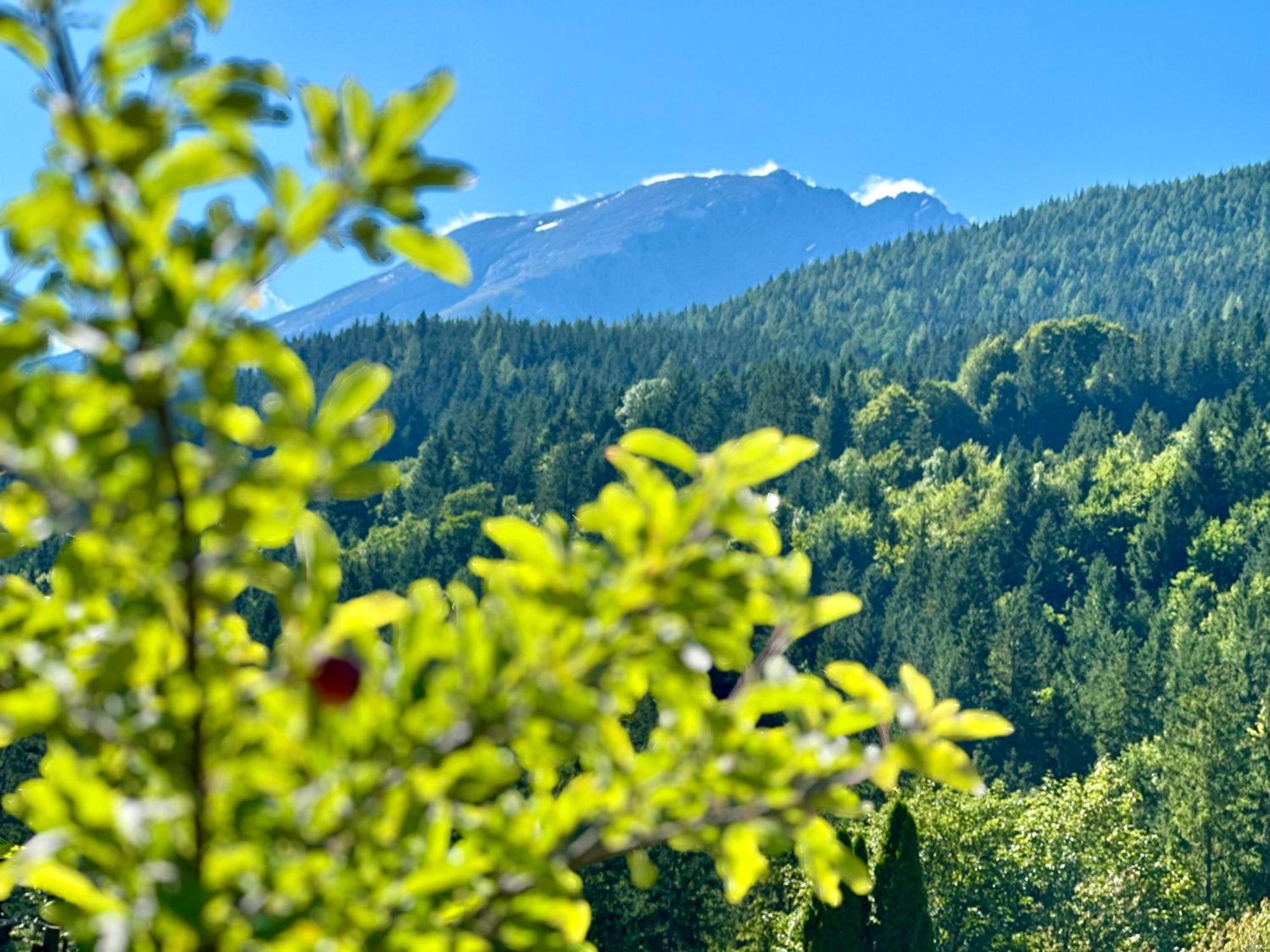 Haus Bergwelten Ramsau - Hintermuehle Ramsau bei Berchtesgaden Buitenkant foto